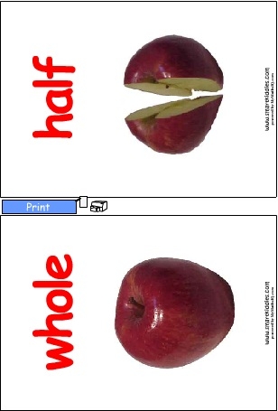 FractionPoster1Col.swf