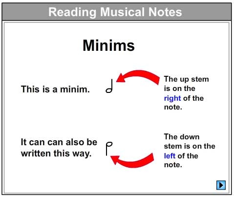 Let's Learn About Minims