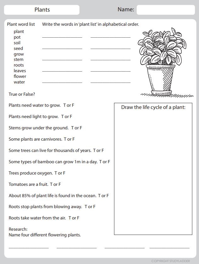 Plants task. Plant Word. All about Plants ответы. Reading task to Plants. Scientific Journal for Kids.