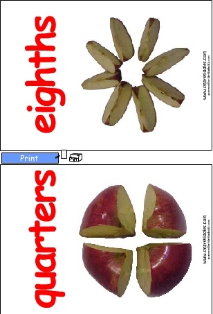 FractionPoster2Col.swf