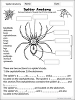 Learn Science skills online, interactive activity lessons